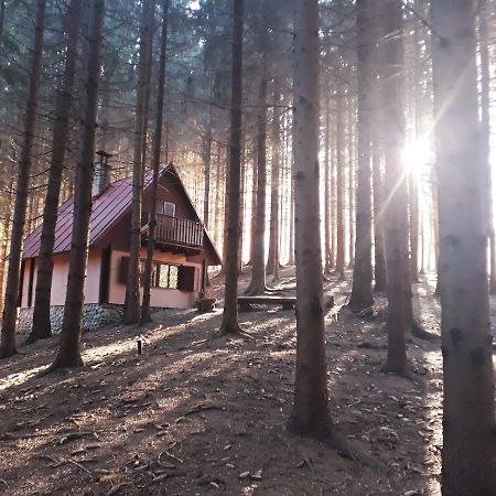 Chata Adavy Liptovský Ján Exteriér fotografie