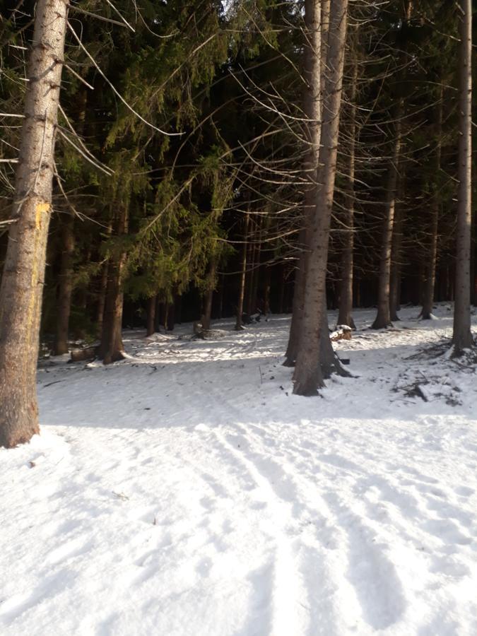 Chata Adavy Liptovský Ján Exteriér fotografie