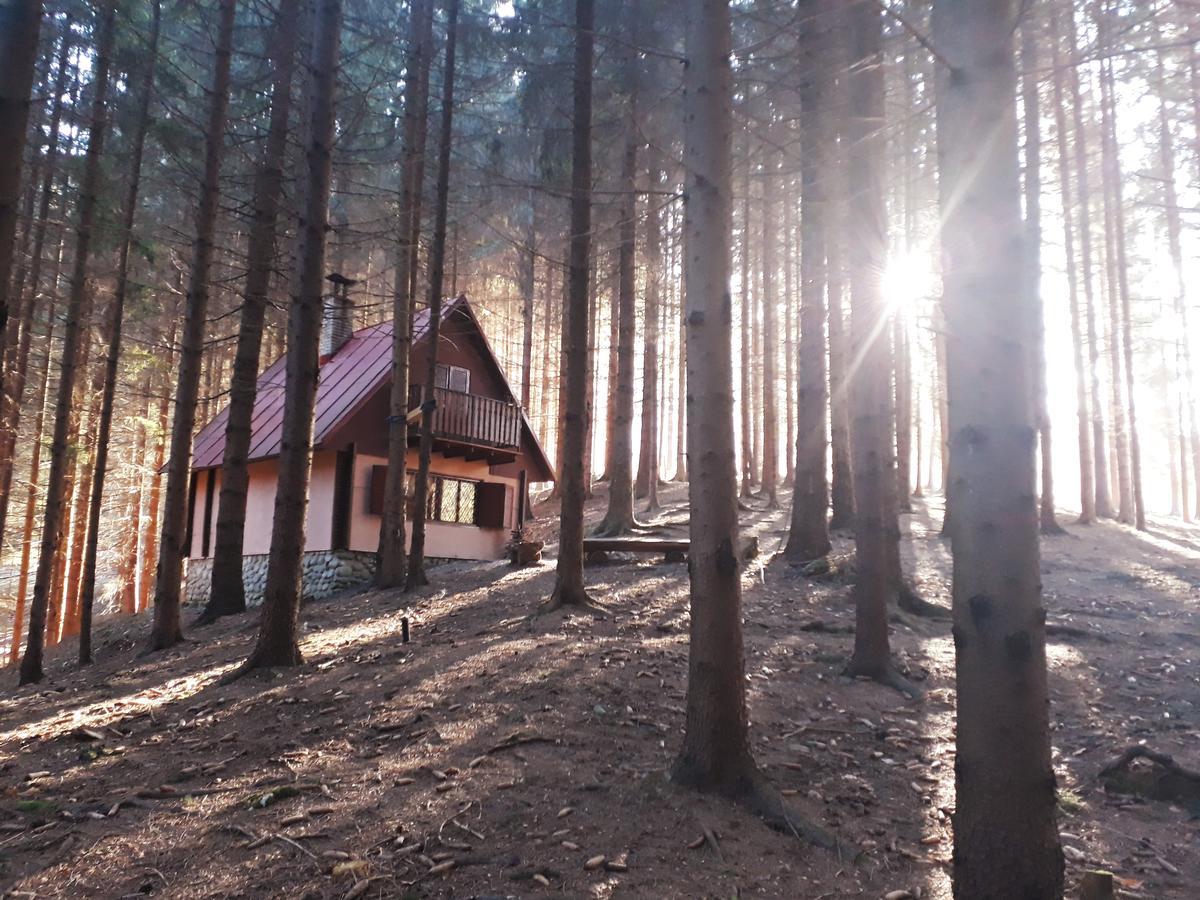Chata Adavy Liptovský Ján Exteriér fotografie