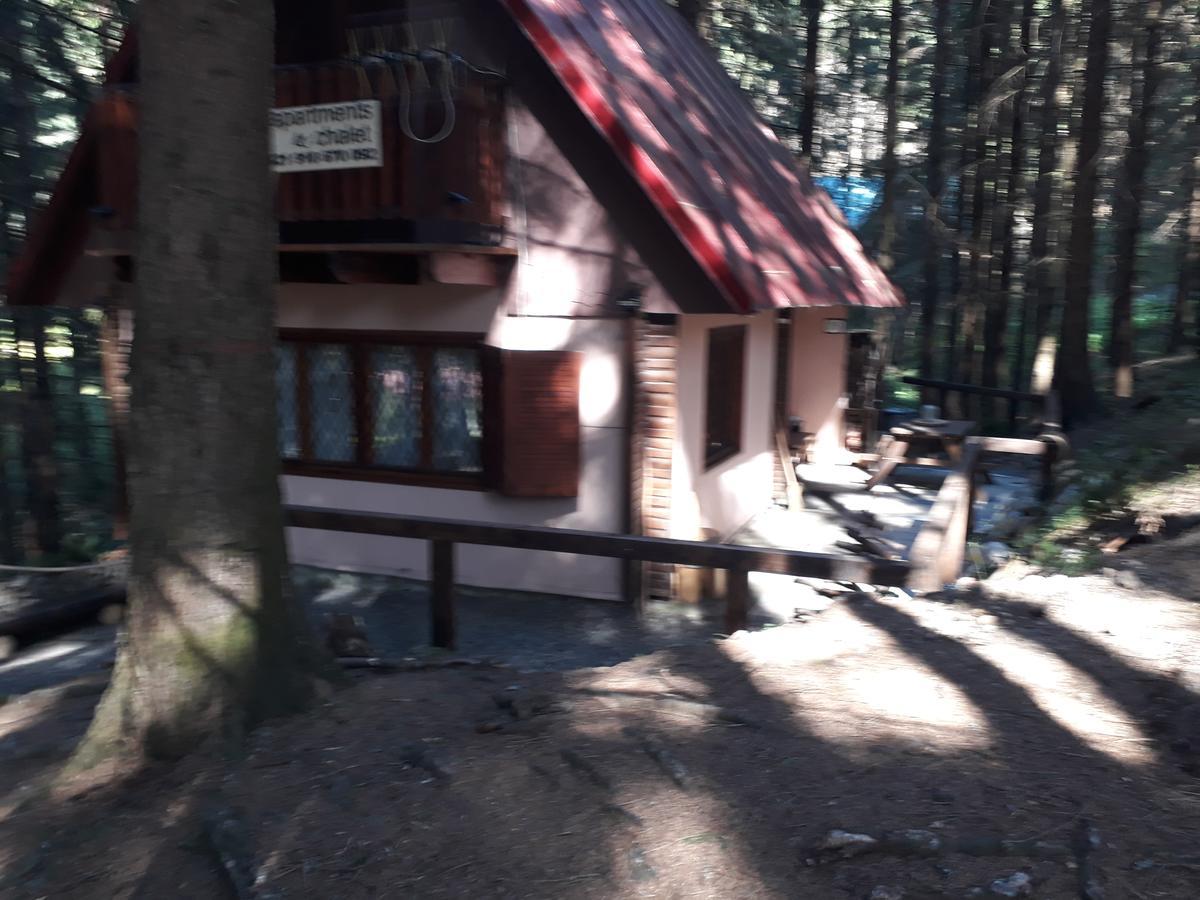 Chata Adavy Liptovský Ján Exteriér fotografie