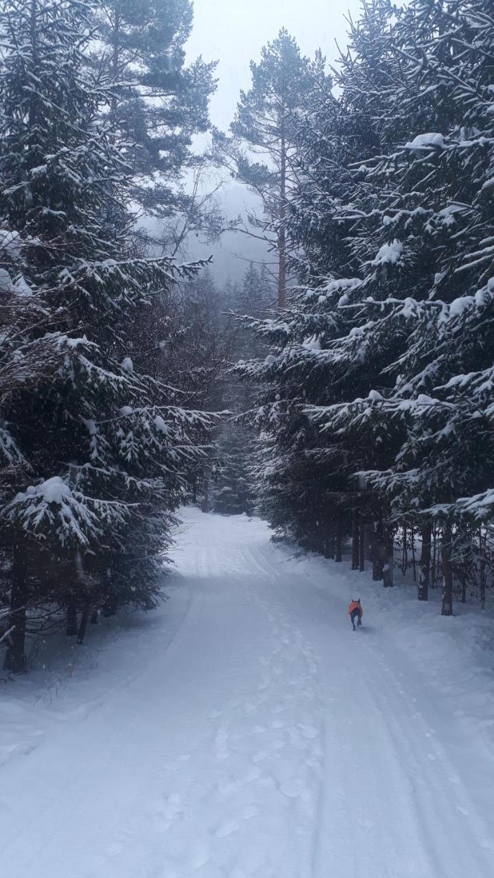 Chata Adavy Liptovský Ján Exteriér fotografie